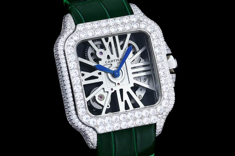 Cartier watch 24 (24)