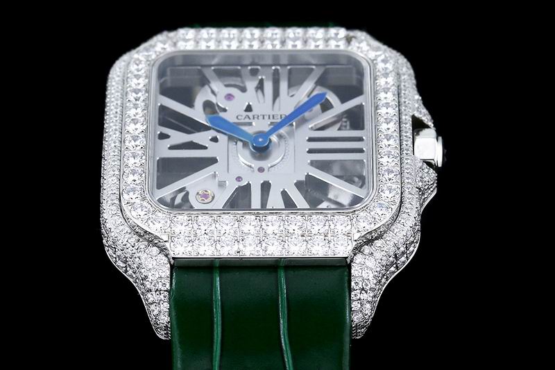 Cartier watch 24 (25)