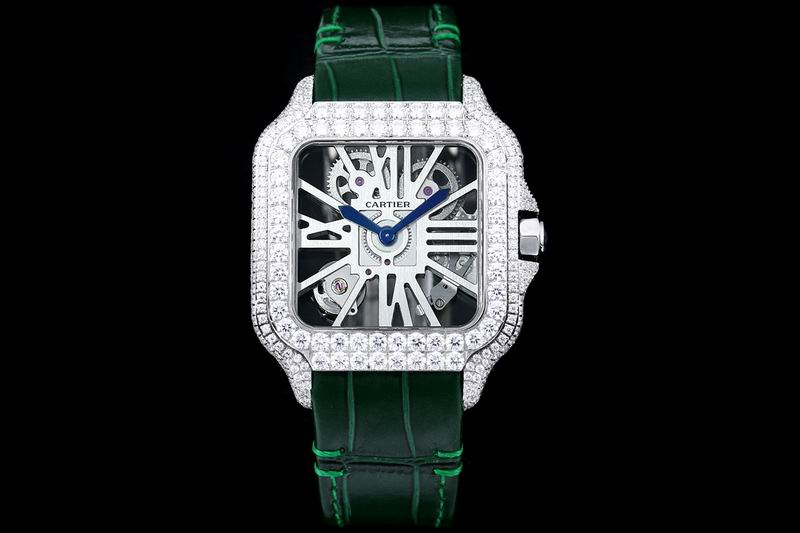 Cartier watch 24 (27)
