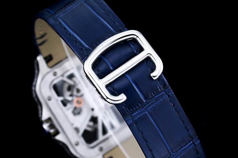 Cartier watch 24 (28)