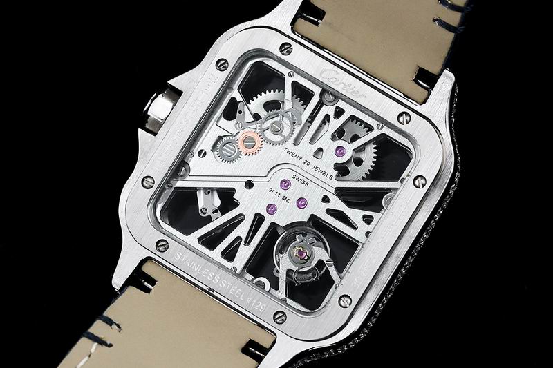 Cartier watch 24 (29)