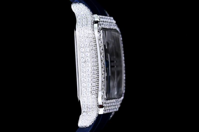 Cartier watch 24 (30)