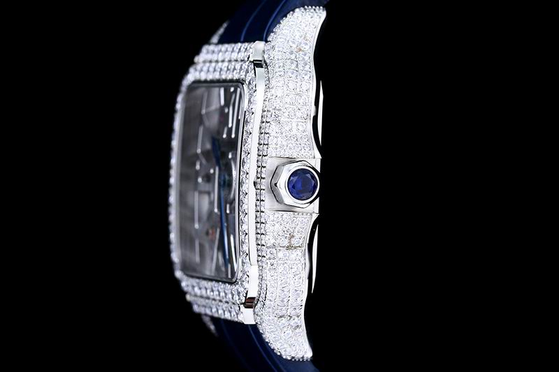 Cartier watch 24 (31)