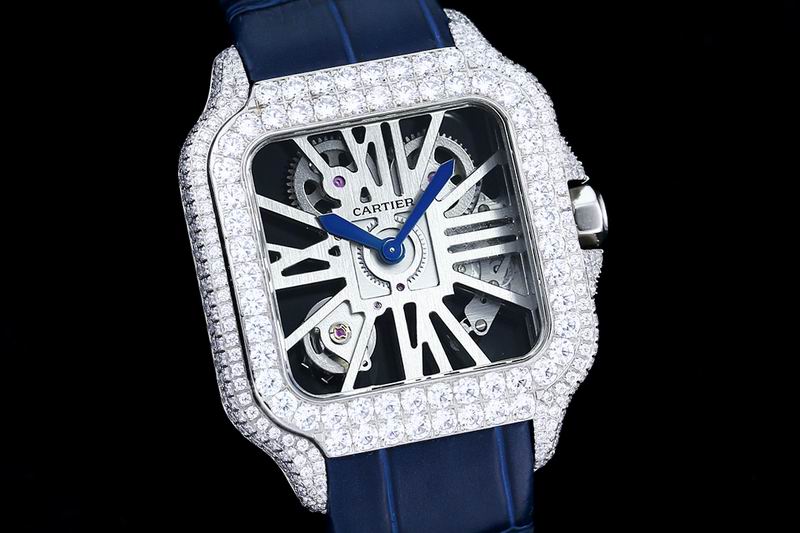 Cartier watch 24 (33)