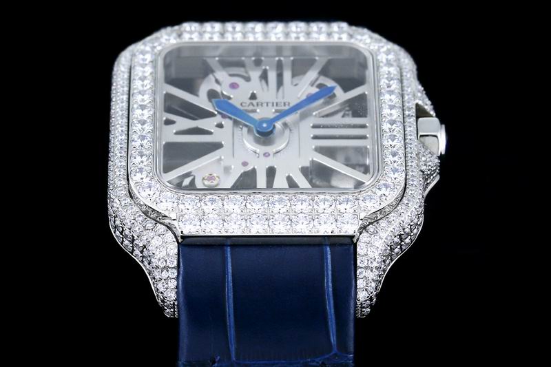 Cartier watch 24 (34)