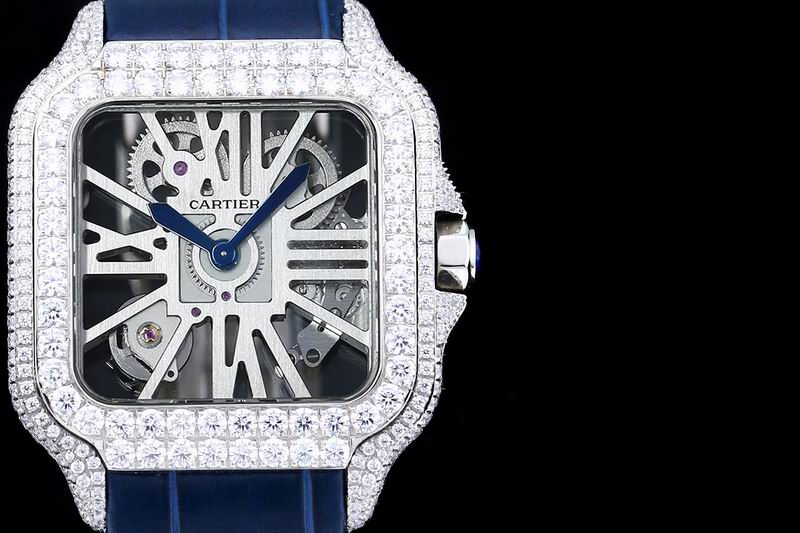 Cartier watch 24 (35)