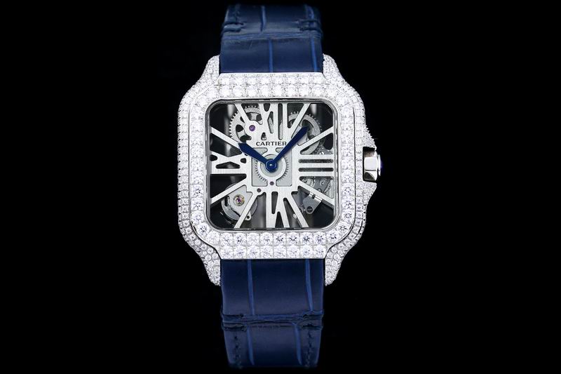 Cartier watch 24 (36)