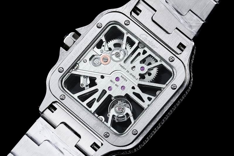 Cartier watch 24 (38)