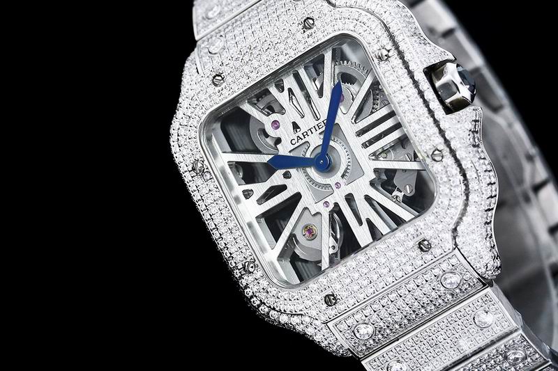 Cartier watch 24 (41)