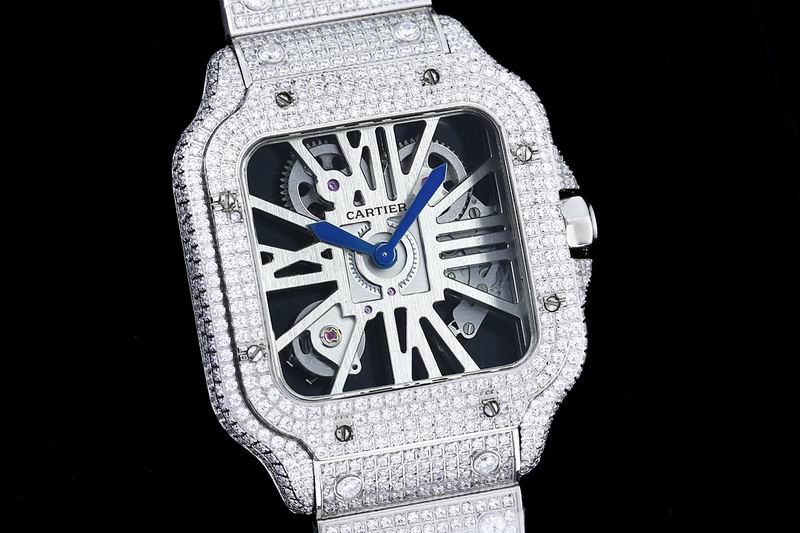 Cartier watch 24 (42)
