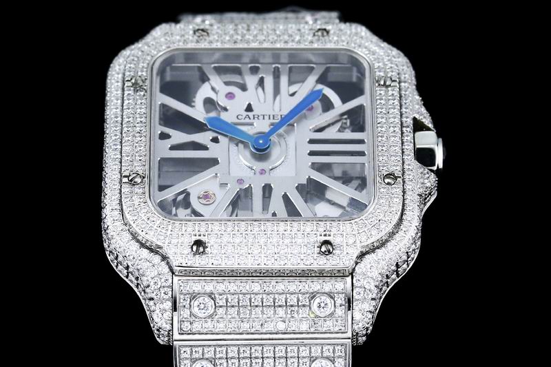 Cartier watch 24 (43)