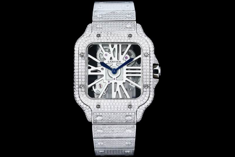 Cartier watch 24 (45)