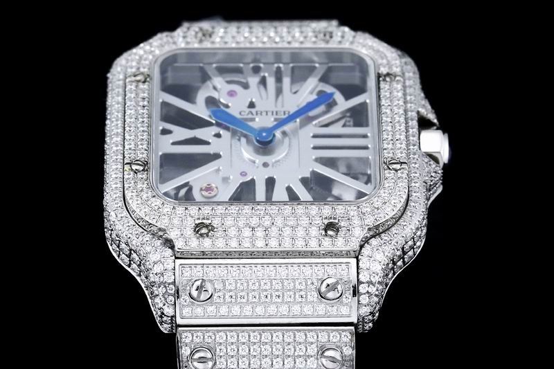Cartier watch 24 (7)