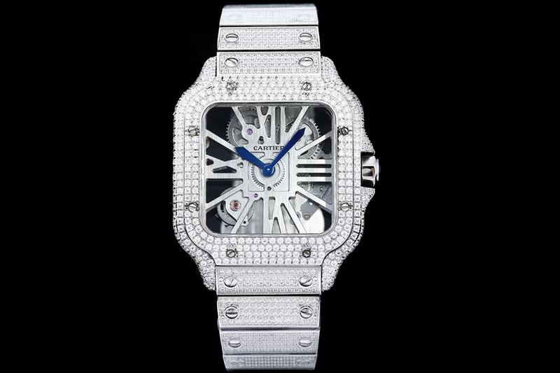 Cartier watch 24 (9)