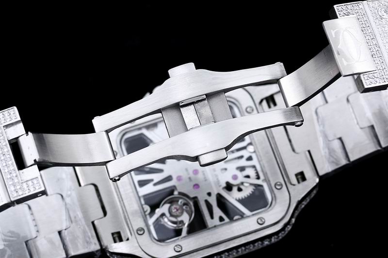 Cartier watch 25 (1)