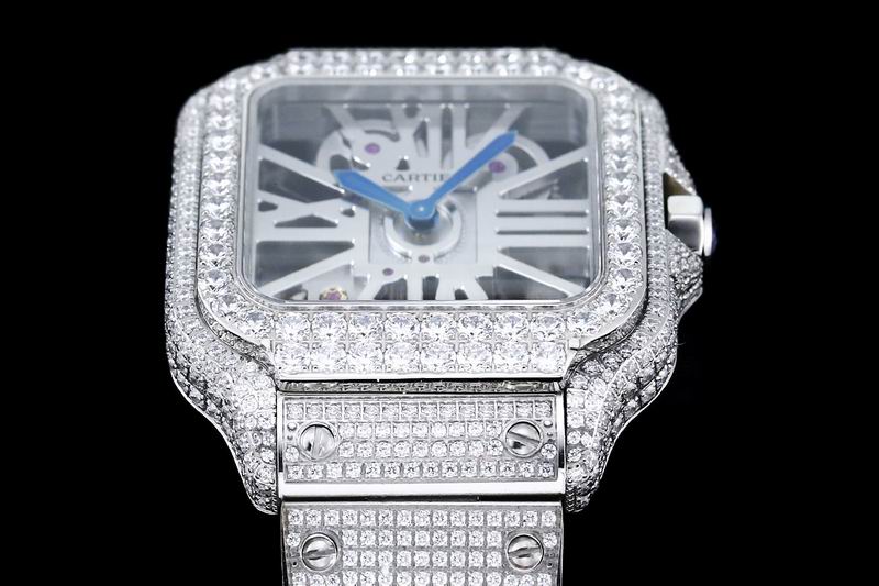 Cartier watch 25 (16)