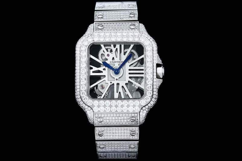 Cartier watch 25 (18)