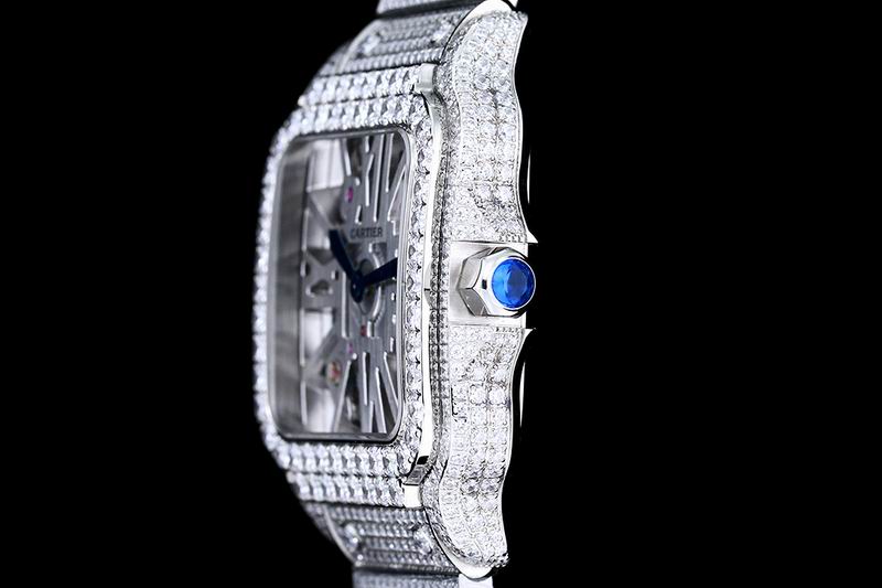 Cartier watch 25 (4)
