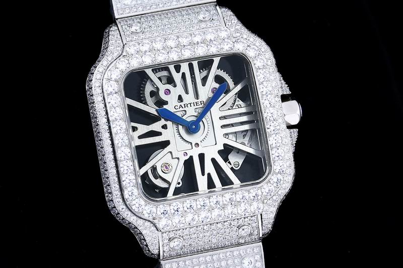 Cartier watch 25 (6)
