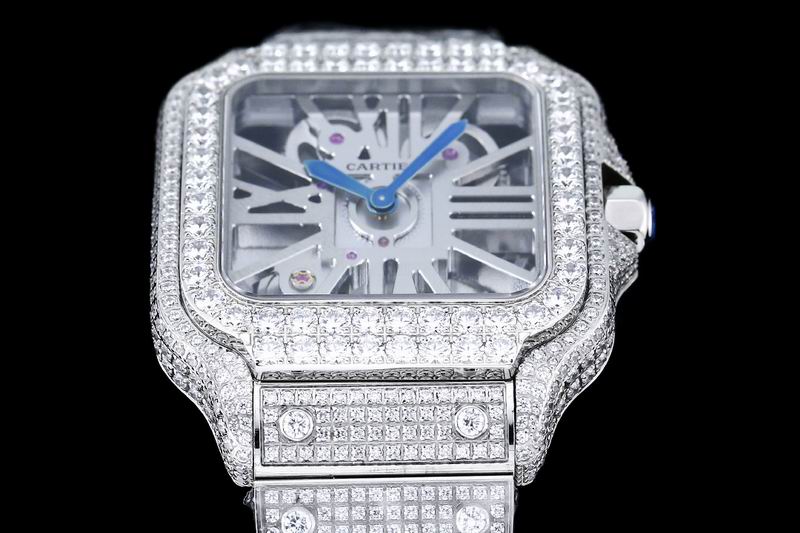 Cartier watch 25 (7)