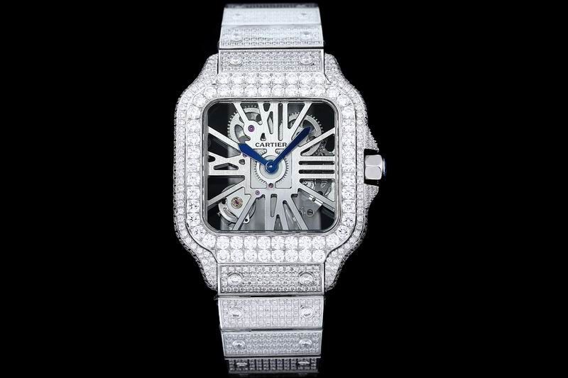 Cartier watch 25 (9)