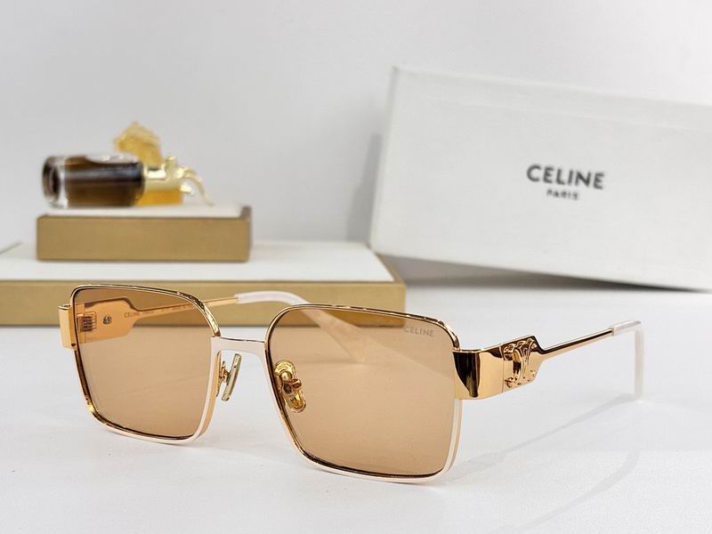Celine Glasses smr (113)