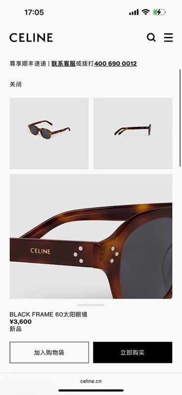 Celine Glasses smr (142)