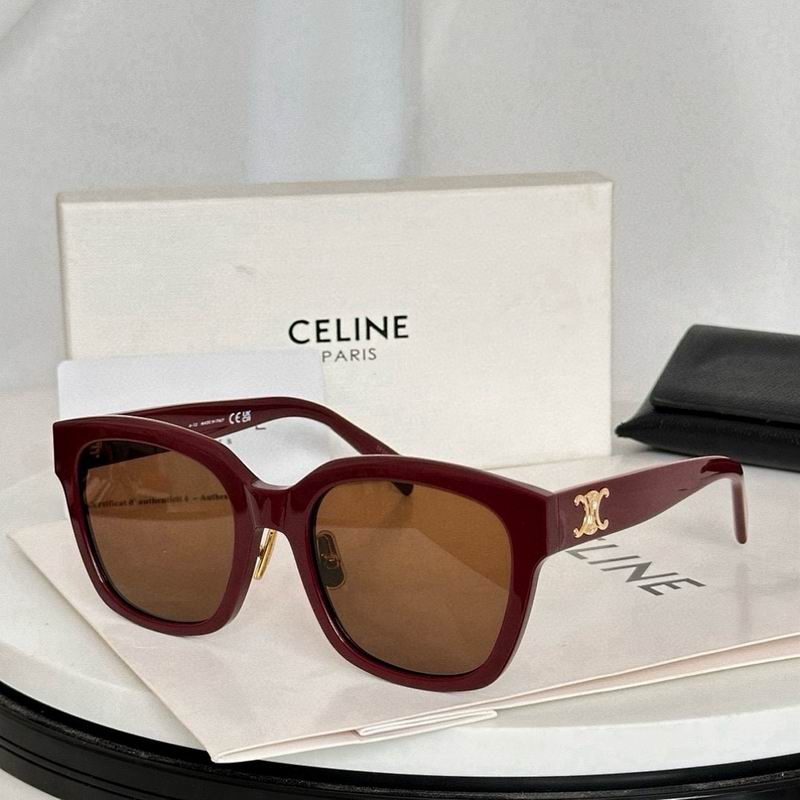 Celine Glasses smr (275)