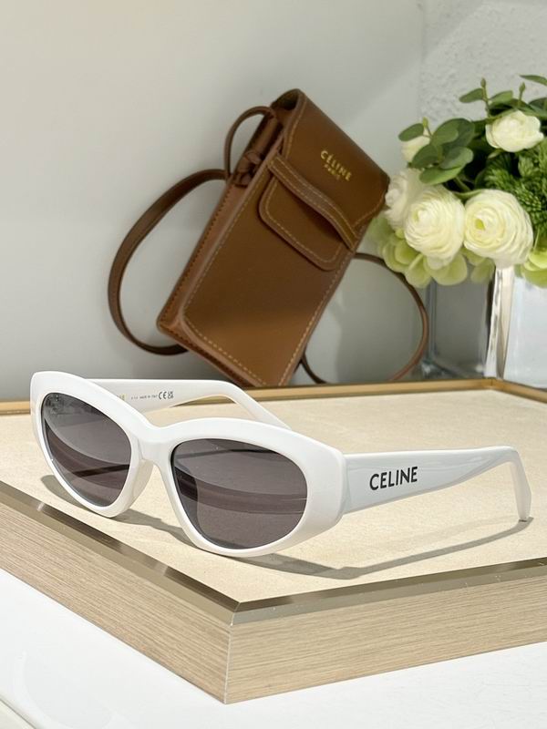 Celine Glasses smr (283)