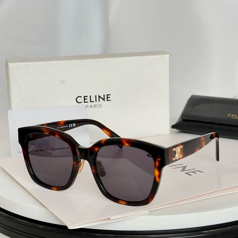 Celine Glasses smr (352)