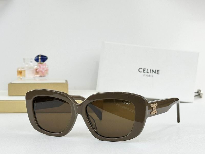 Celine Glasses smr (381)