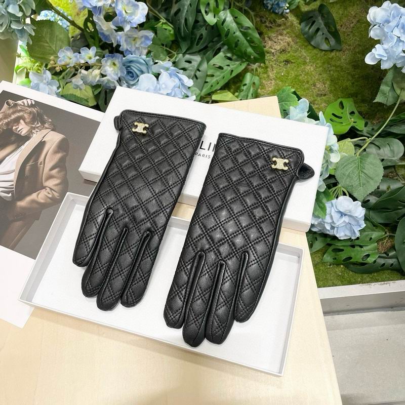 Celine Gloves 24 (6)