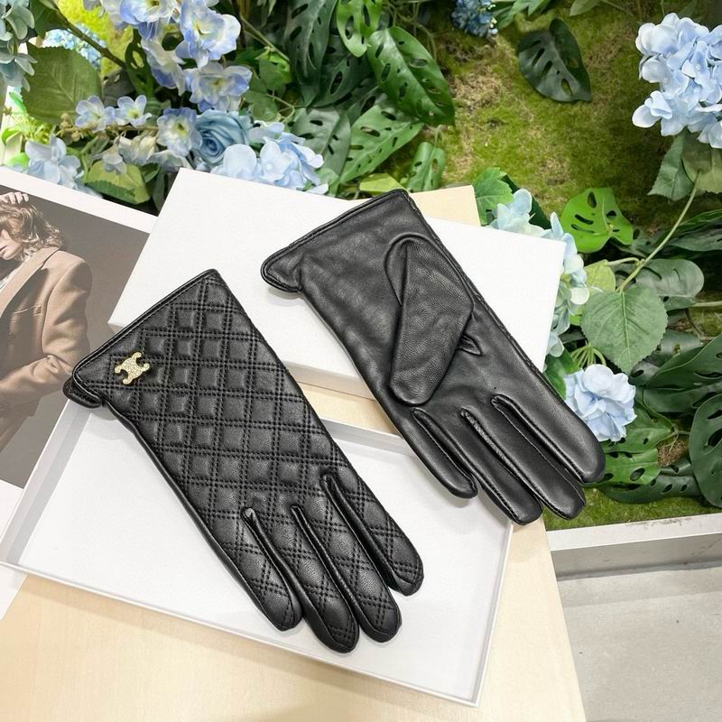Celine Gloves 24 (8)