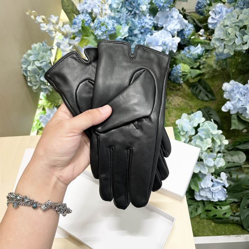 Celine Gloves M L 07 (1)