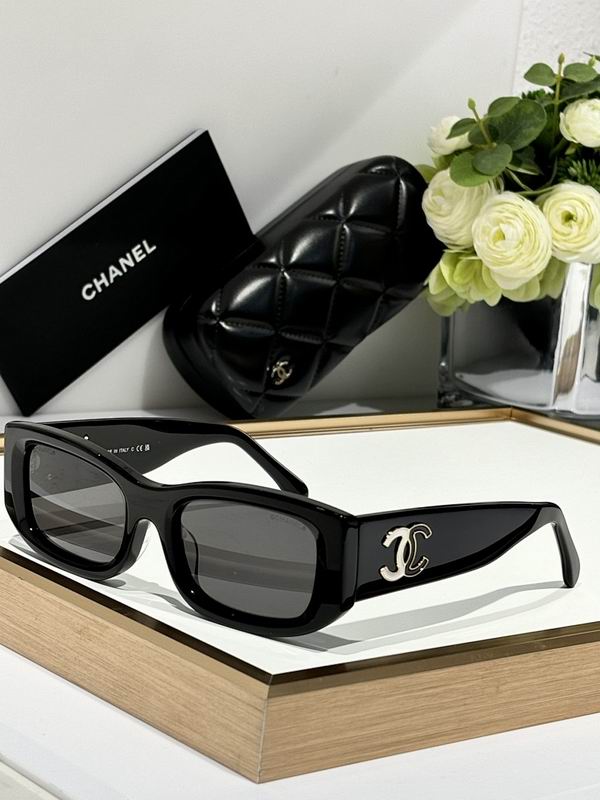 Chanel Glasses smr (1012)