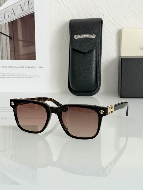 Chrome Hearts Glasses smr (401)