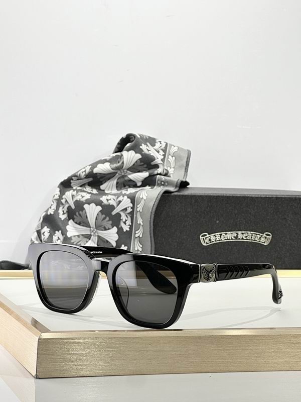 Chrome Hearts Glasses smr (555)