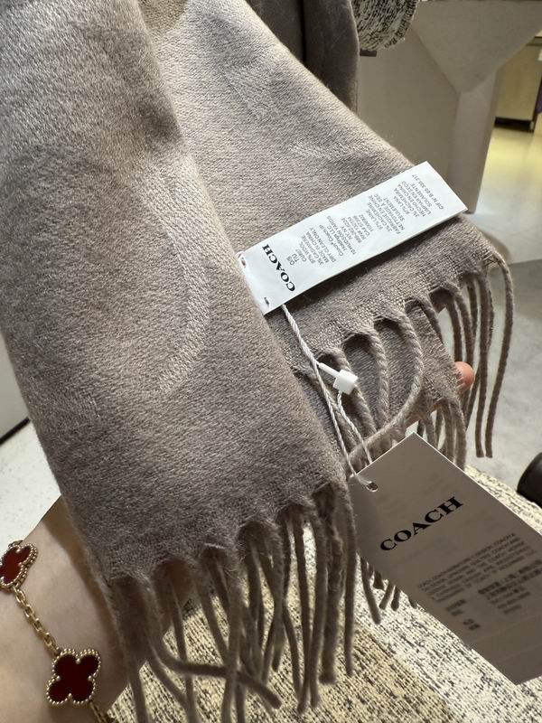 Coach Scarf 195X53cm E36 (1)