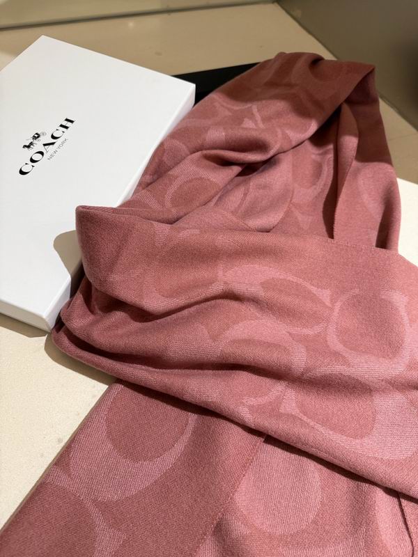 Coach Scarf 195X53cm E36 (11)
