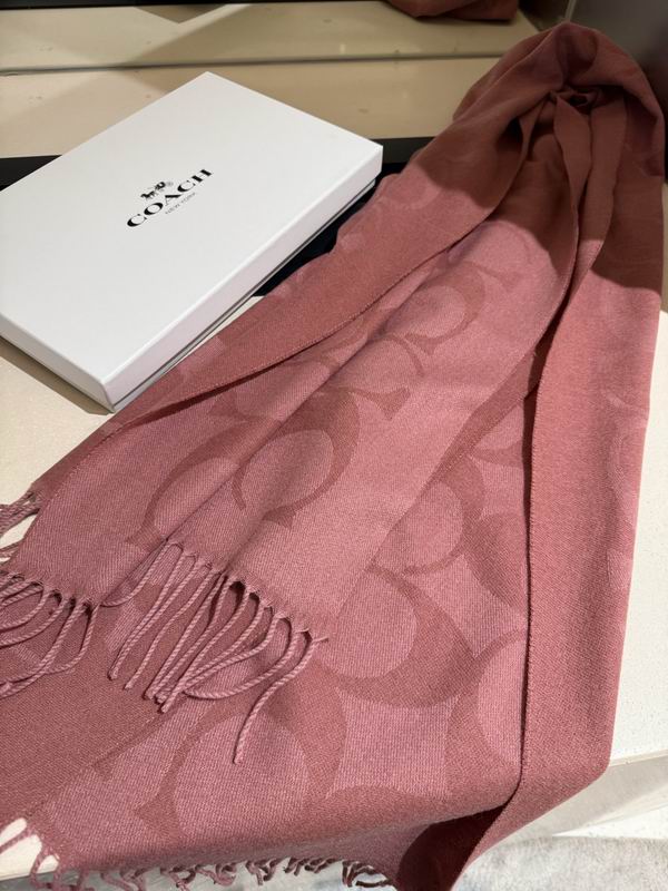 Coach Scarf 195X53cm E36 (12)
