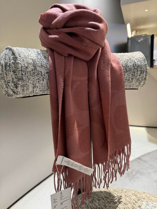 Coach Scarf 195X53cm E36 (13)