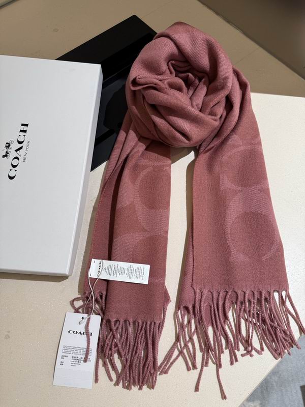 Coach Scarf 195X53cm E36 (14)