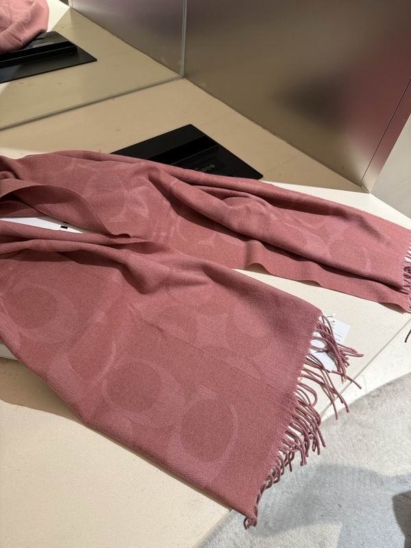Coach Scarf 195X53cm E36 (15)