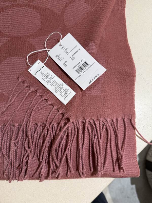 Coach Scarf 195X53cm E36 (16)