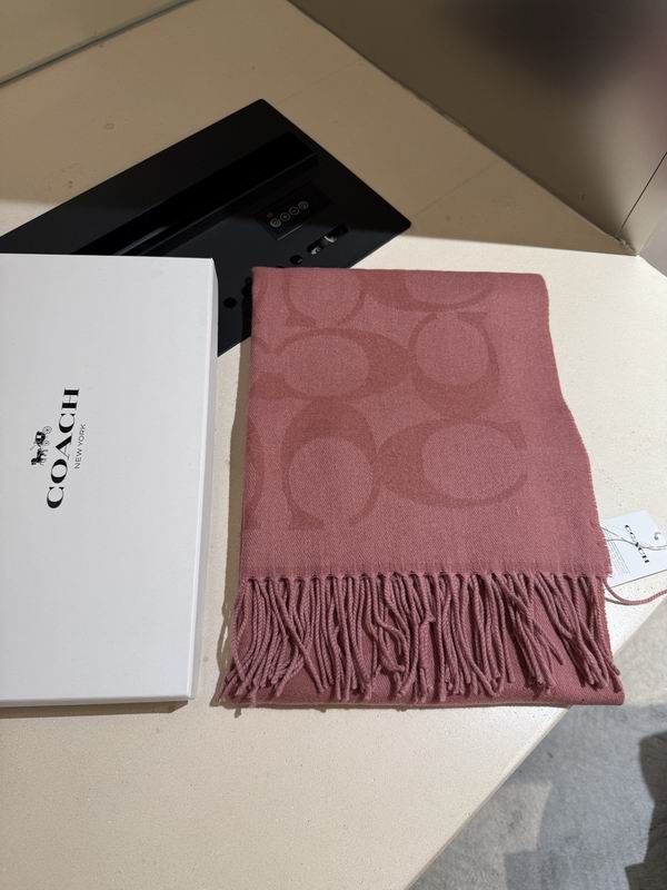 Coach Scarf 195X53cm E36 (17)