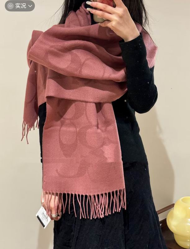 Coach Scarf 195X53cm E36 (18)