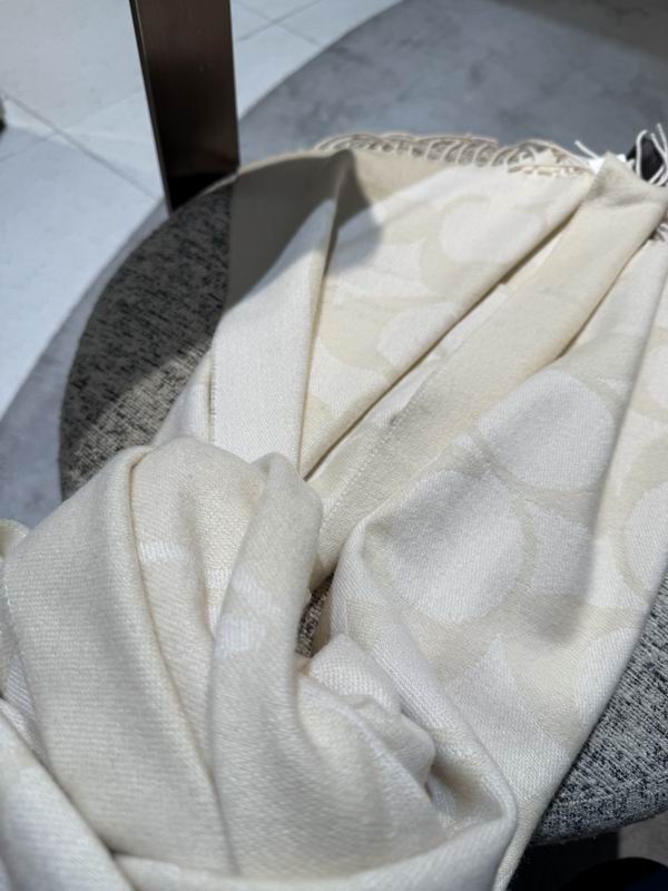 Coach Scarf 195X53cm E36 (19)