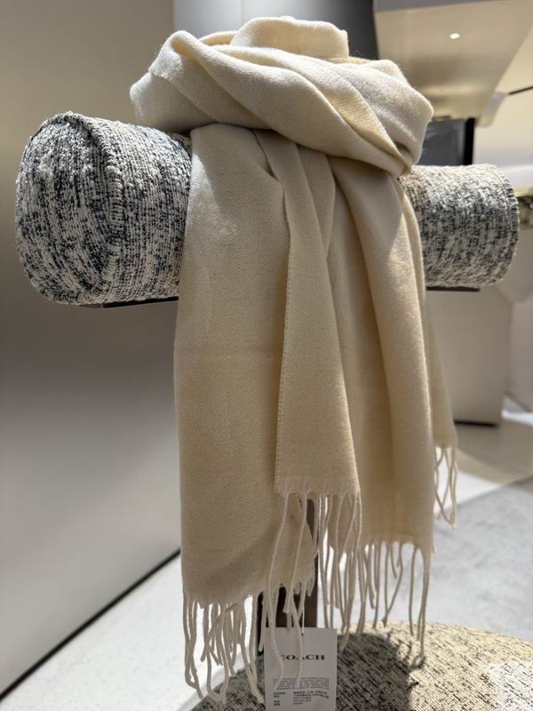 Coach Scarf 195X53cm E36 (20)