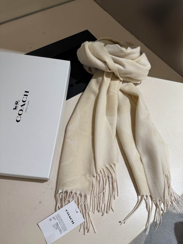 Coach Scarf 195X53cm E36 (21)