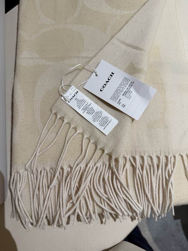 Coach Scarf 195X53cm E36 (23)